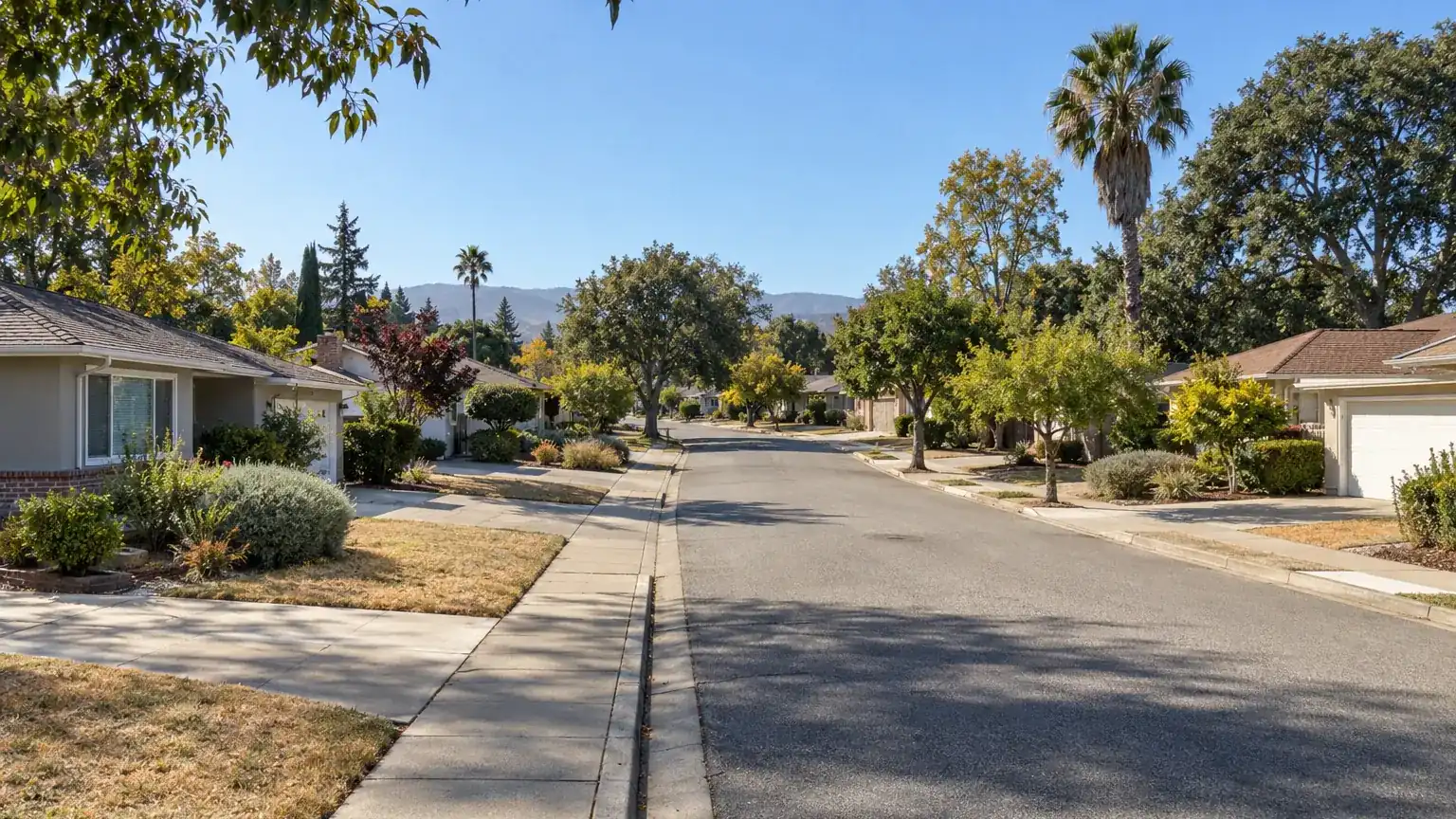 Typical neighborhood street in the San Jose area